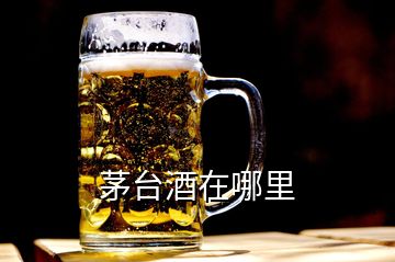 茅臺(tái)酒在哪里