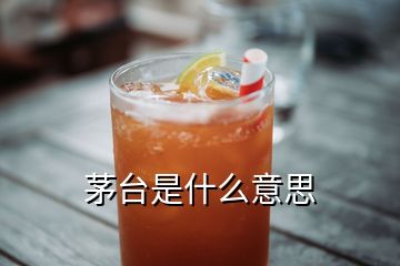 茅臺是什么意思