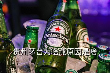 貴州茅臺為啥漲原因是啥