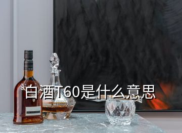 白酒T60是什么意思