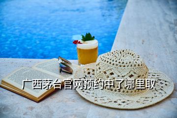 廣西茅臺(tái)官網(wǎng)預(yù)約中了哪里取