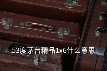 53度茅臺(tái)精品1x6什么意思