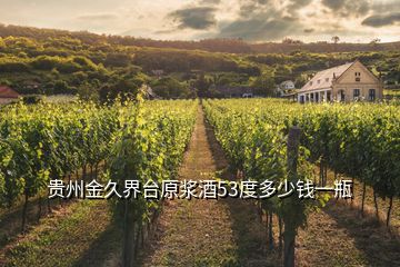 貴州金久界臺(tái)原漿酒53度多少錢一瓶