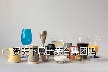 賀天下屬于茅臺集團嗎