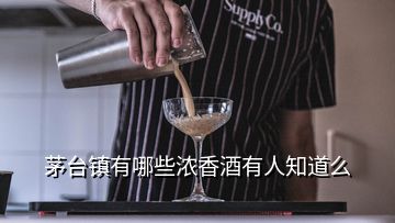 茅臺鎮(zhèn)有哪些濃香酒有人知道么