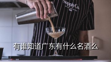 有誰(shuí)知道廣東有什么名酒么