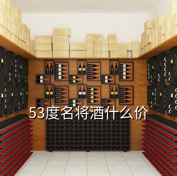 53度名將酒什么價(jià)