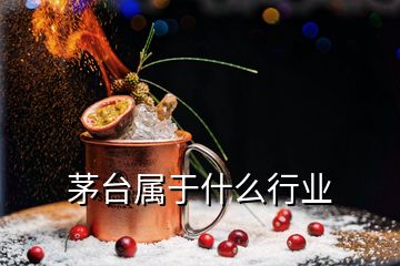 茅臺屬于什么行業(yè)