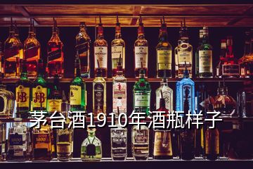 茅臺(tái)酒1910年酒瓶樣子