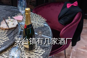 茅臺鎮(zhèn)有幾家酒廠