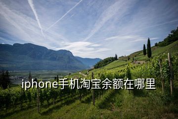 iphone手機(jī)淘寶余額在哪里