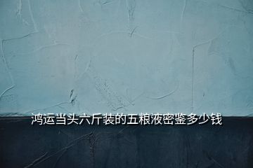 鴻運當頭六斤裝的五糧液密鑒多少錢