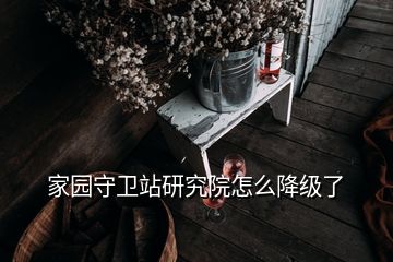 家園守衛(wèi)站研究院怎么降級(jí)了