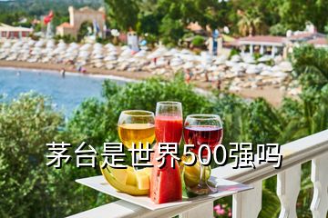 茅臺是世界500強(qiáng)嗎