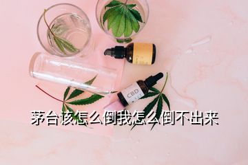 茅臺(tái)該怎么倒我怎么倒不出來