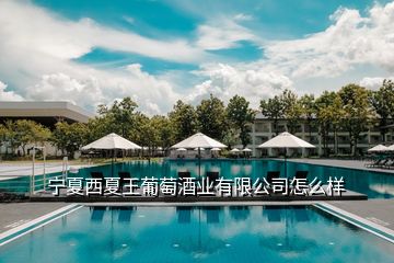 寧夏西夏王葡萄酒業(yè)有限公司怎么樣