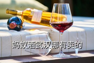 螞蟻酒武漢哪有賣的