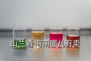 山蘭酒 海南哪兒有賣