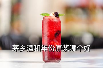 茅鄉(xiāng)酒和年份原漿哪個好