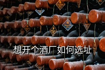 想開個(gè)酒廠如何選址