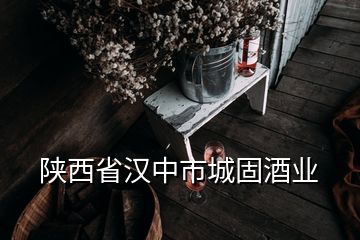 陜西省漢中市城固酒業(yè)