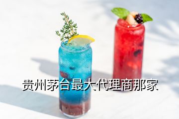 貴州茅臺最大代理商那家