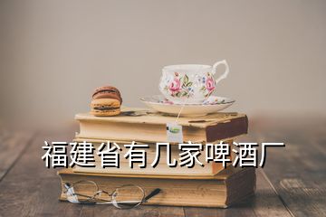 福建省有幾家啤酒廠