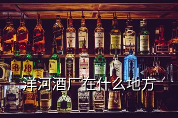 洋河酒廠在什么地方