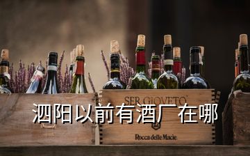 泗陽以前有酒廠在哪