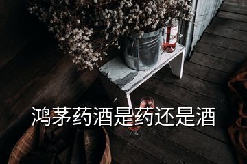 鴻茅藥酒是藥還是酒