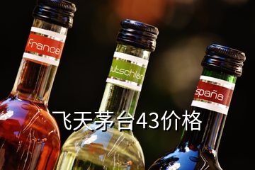 飛天茅臺43價格