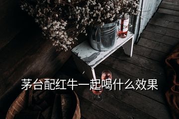 茅臺配紅牛一起喝什么效果