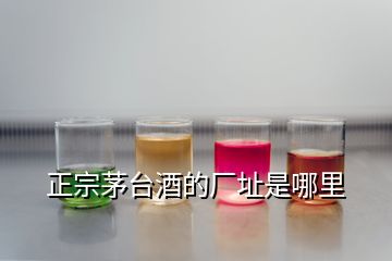 正宗茅臺酒的廠址是哪里