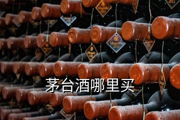 茅臺(tái)酒哪里買