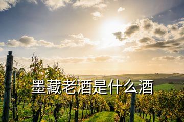 墨藏老酒是什么酒