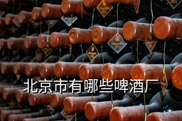 北京市有哪些啤酒廠