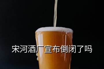 宋河酒廠宣布倒閉了嗎