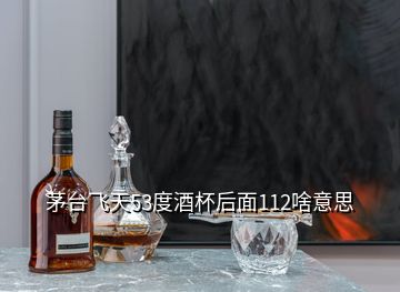 茅臺(tái)飛天53度酒杯后面112啥意思