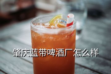 肇慶藍(lán)帶啤酒廠怎么樣