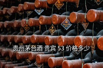 貴州茅臺酒 貴賓 53 價格多少