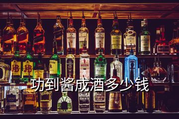 功到醬成酒多少錢