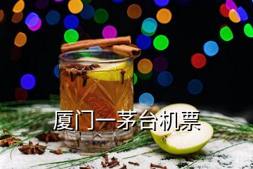 廈門一茅臺機(jī)票