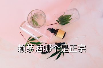 賴茅酒哪個(gè)是正宗