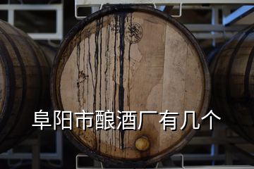 阜陽市釀酒廠有幾個