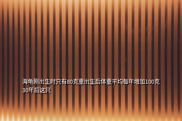 海龜剛出生時只有80克重出生后體重平均每年增加100克30年后這只