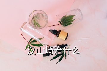 漢山崎治什么