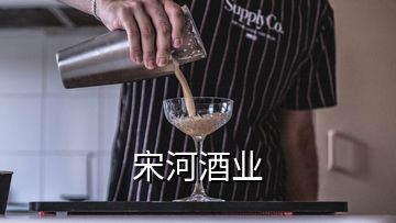 宋河酒業(yè)