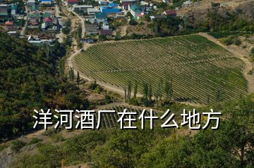 洋河酒廠在什么地方