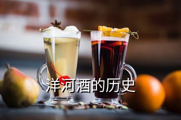 洋河酒的歷史