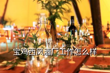 寶雞西鳳酒廠工作怎么樣